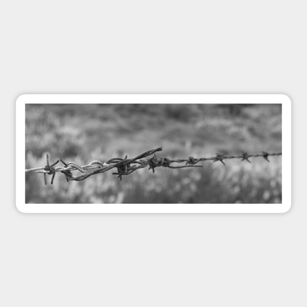 Barbed wire, in B&W Sticker by brians101